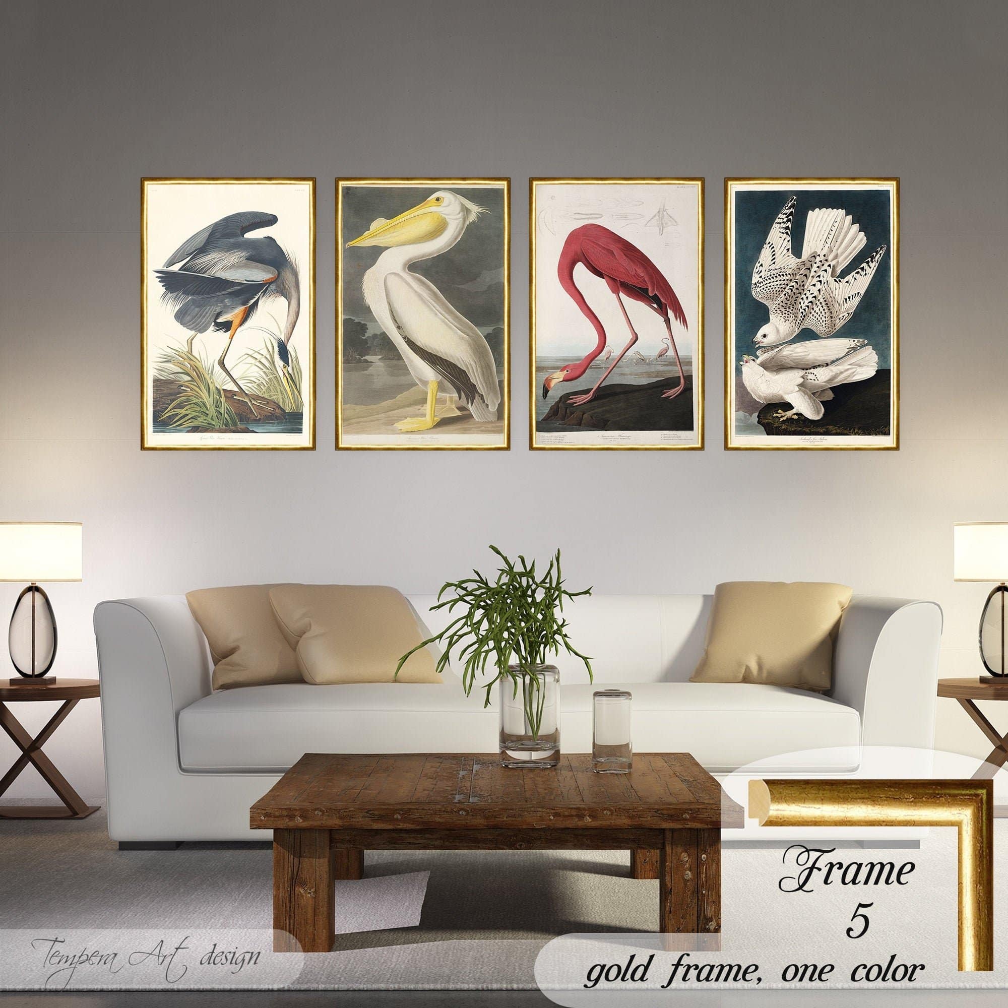 John James Audubon Set of four framed canvas birds prints Flamingo, Blue heron, Pelican and Gyrfalcons gallery art on wall