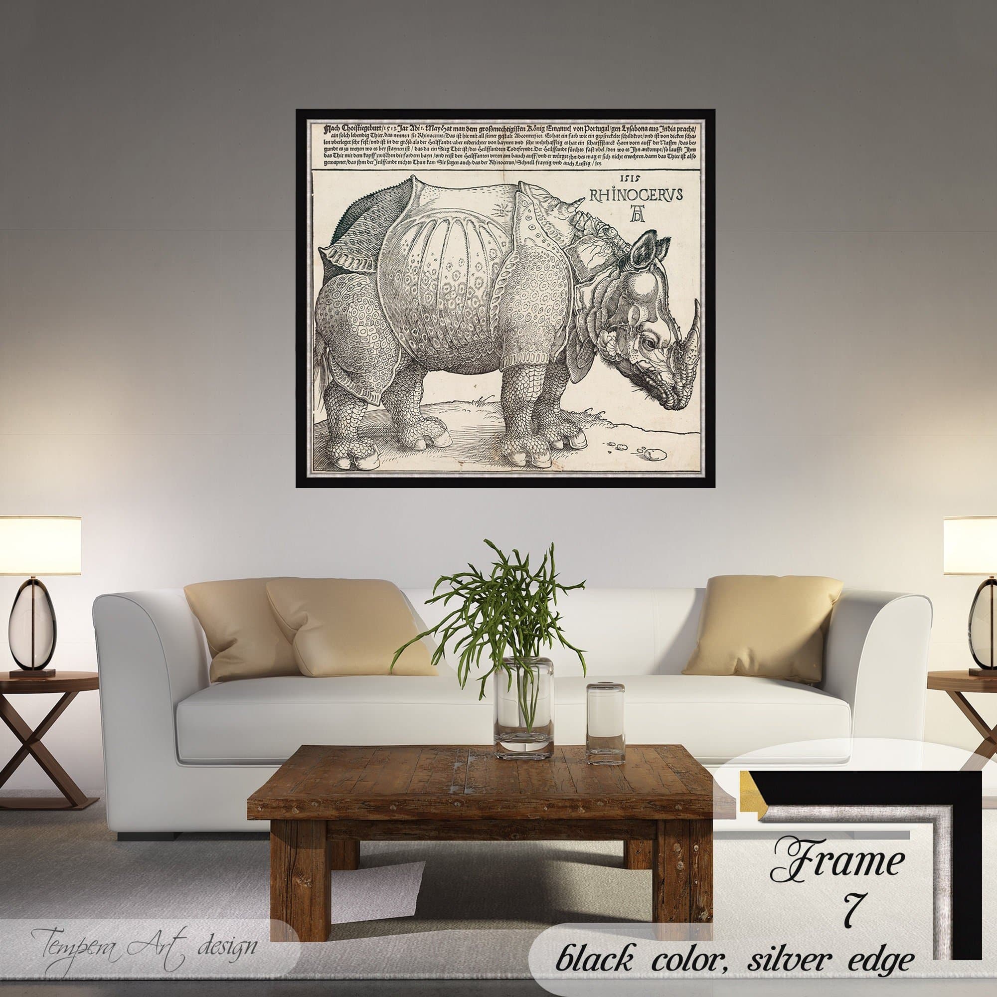 Albrecht Durer The Rhinoceros